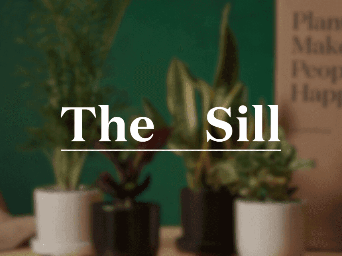 How The Sill broke through AOV plateaus with AI-driven product discovery