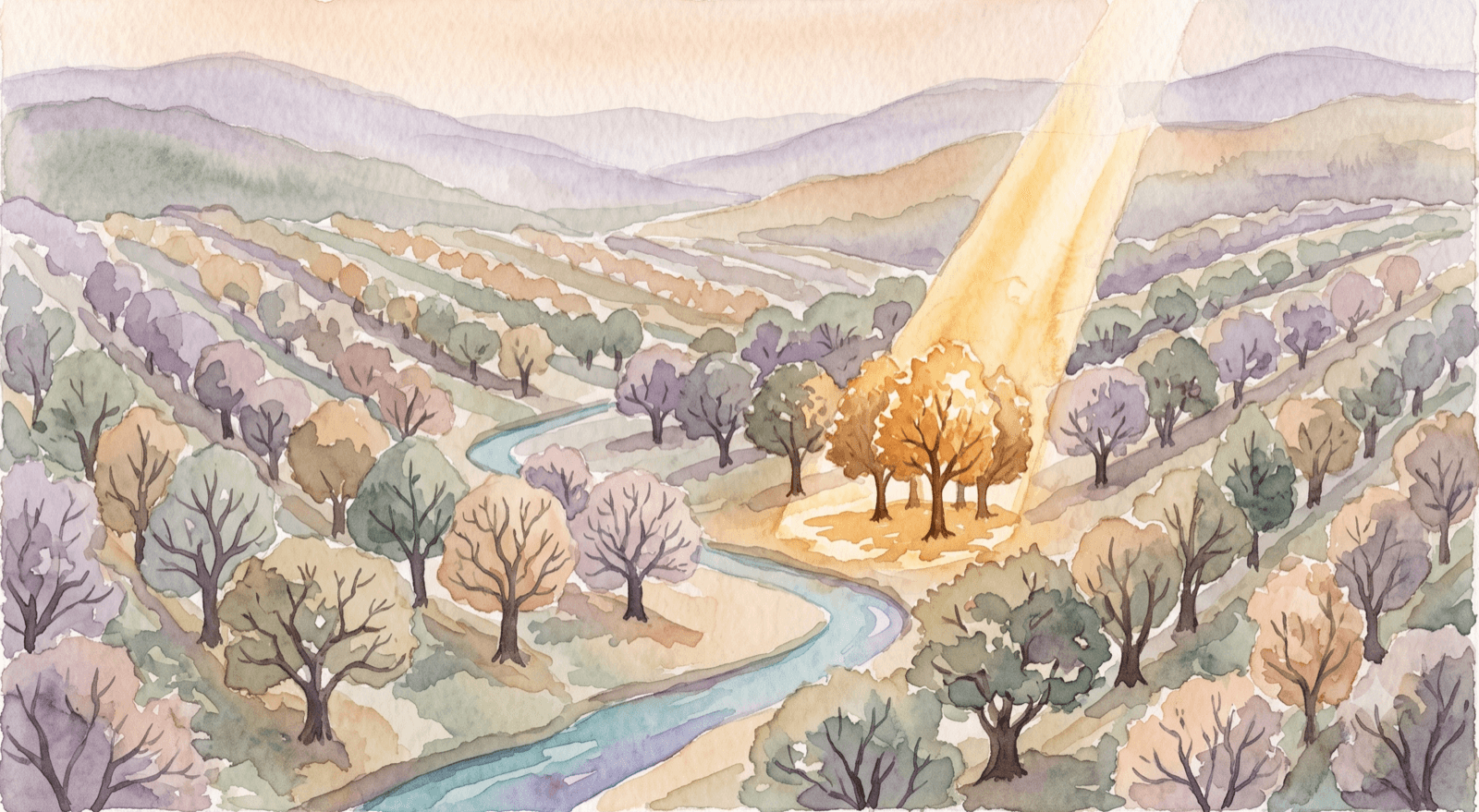 Soft watercolor of an orchard of distinct trees in soft rows on a hillside, a few catching gold light.