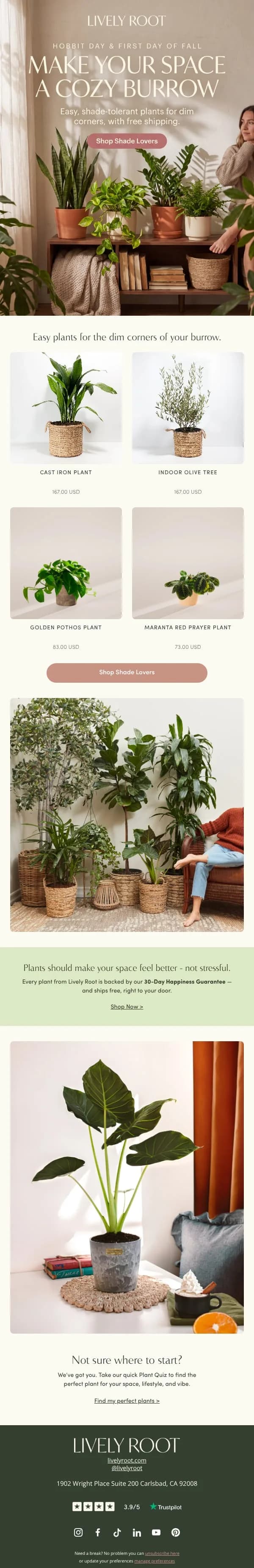 Lively Root marketing email built by LTV.ai for an in-stock low-light ‘cozy burrow’ campaign for the first day of fall