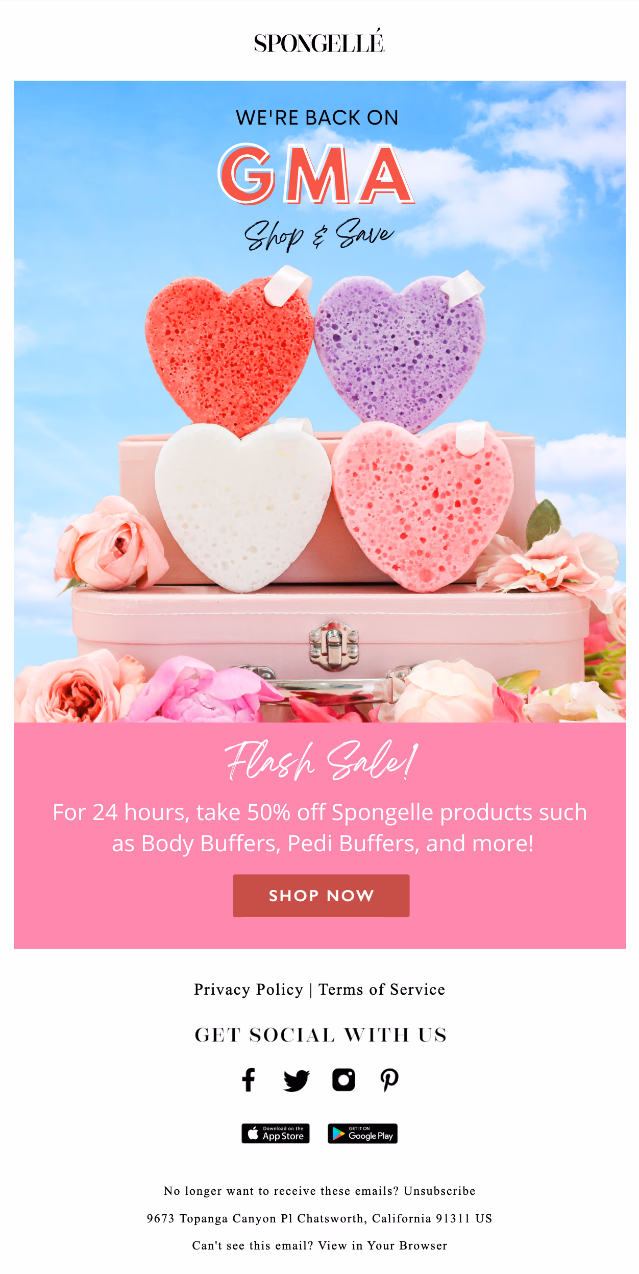 Spongellé email created by LTV.ai