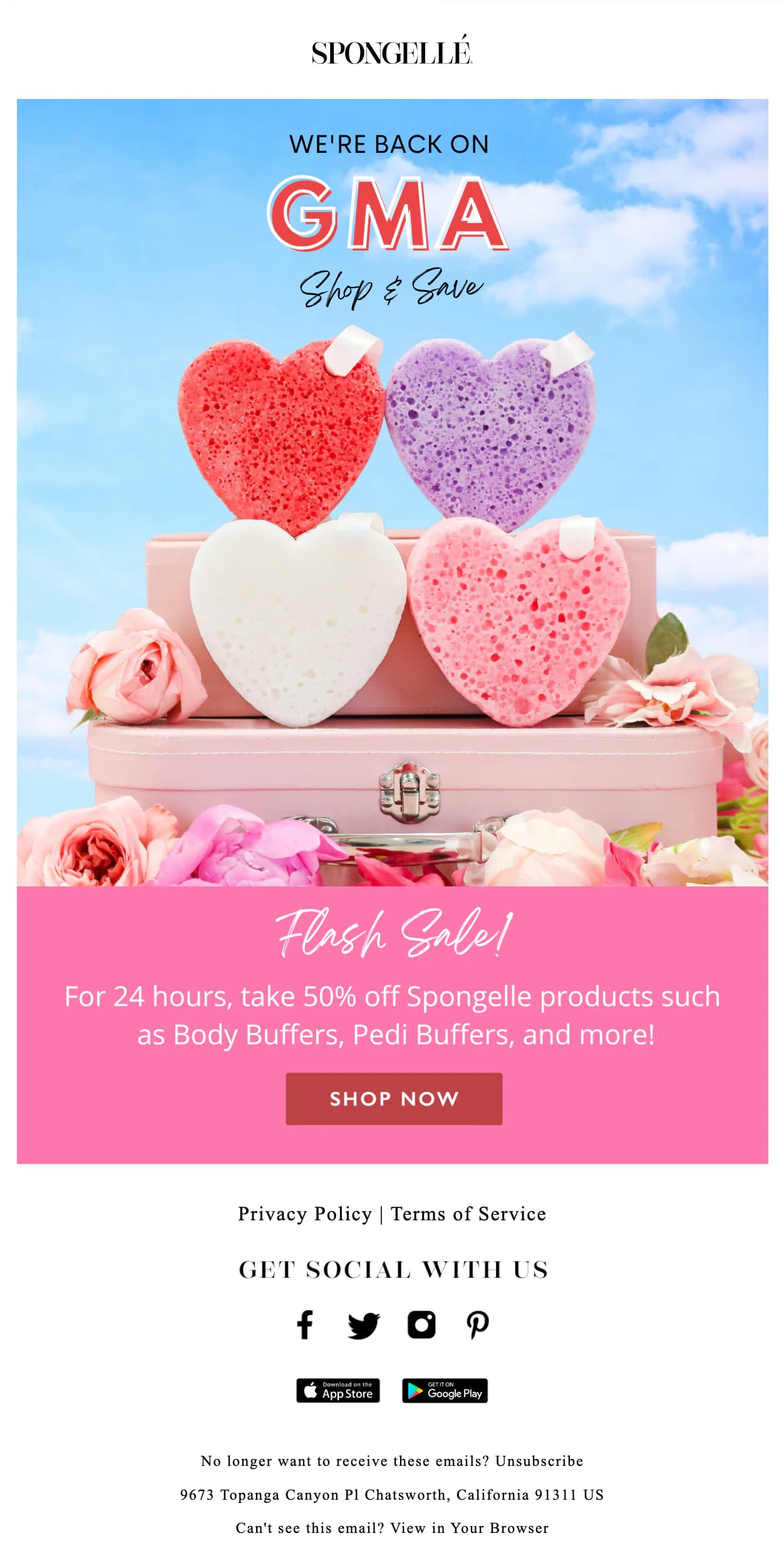 Spongellé marketing email built by LTV.ai for a curated holiday gift-set campaign shipped ahead of peak demand