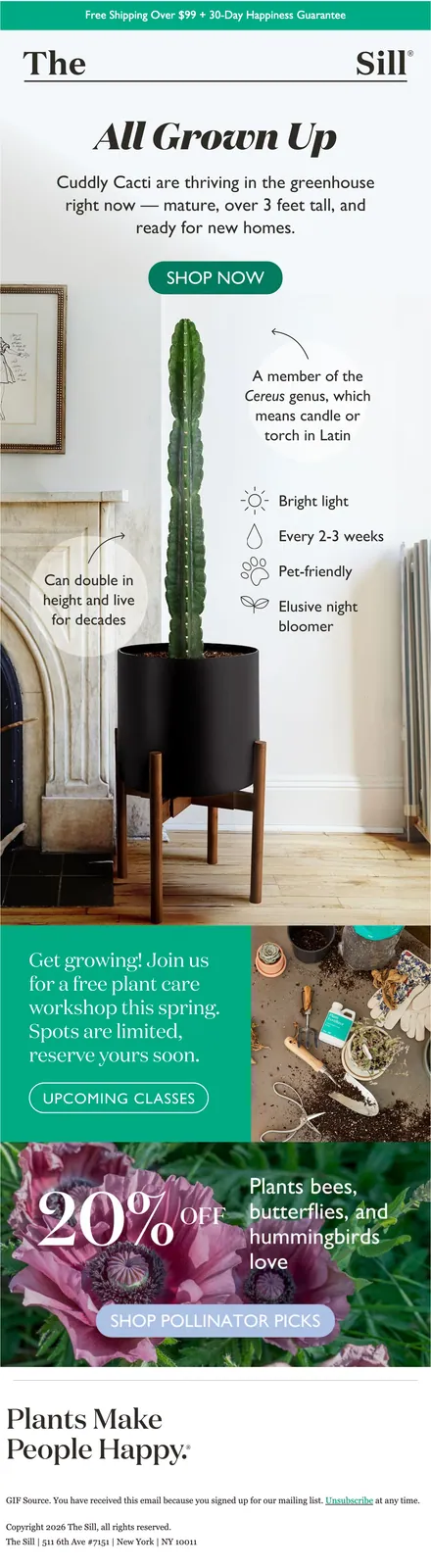 The Sill marketing email built by LTV.ai for a statement-plant campaign spotlighting a mature Cereus as the centerpiece