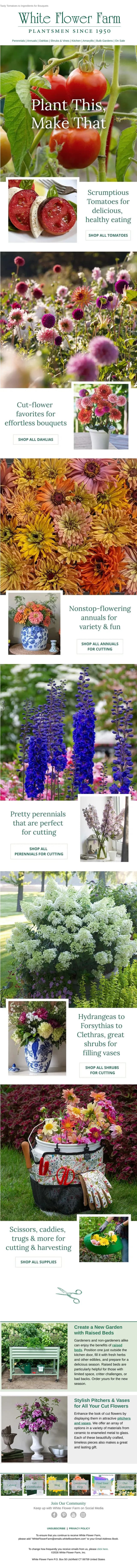 White Flower Farm marketing email built by LTV.ai for a location-personalized bulb campaign telling every region when to order