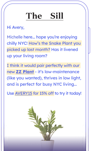 The Sill LTV.ai sample email The Sill LTV.ai sample email