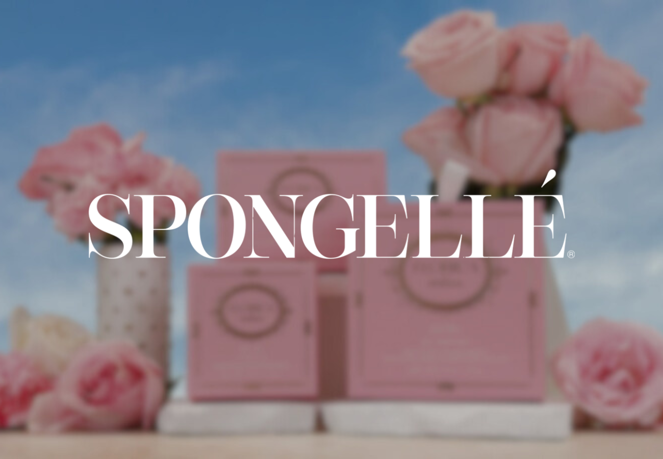 Spongellé LTVai case study