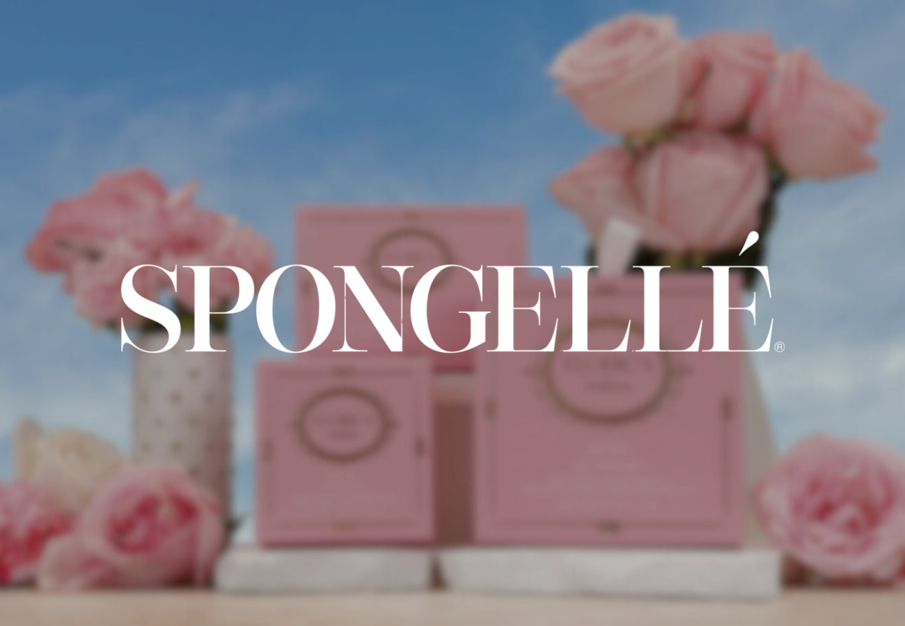 Spongellé LTVai case study Spongellé LTVai case study