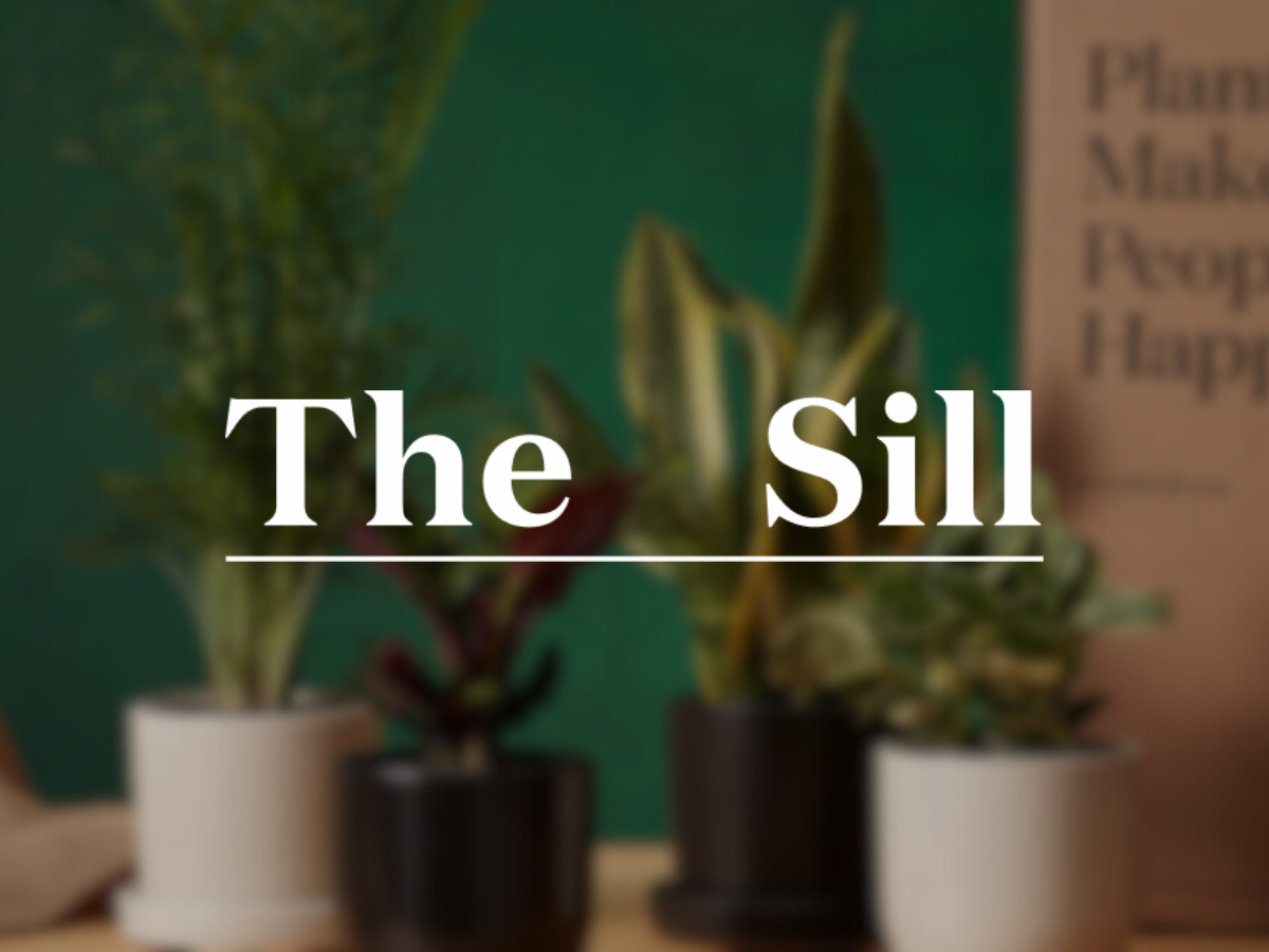 The Sill x LTV.ai Case Study